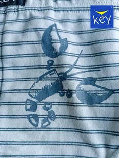 SLIPY KEY MPP-362 B24 (kolor mix kolorów, rozmiar M) - Majtki męskie - miniaturka - grafika 1