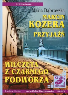 Przyjaźń, Wilczęta z czarnego podwórza - Audiobooki - literatura piękna - miniaturka - grafika 1