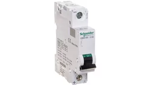 Schneider Electric Wyłącznik nadprądowy 1P C 2A 10kA DC A9N61502 A9N61502 - Bezpieczniki elektryczne - miniaturka - grafika 1