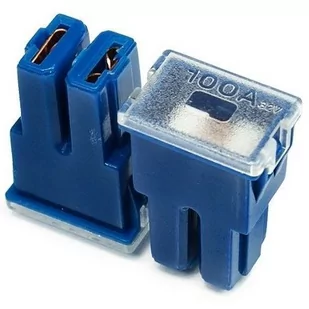 Bezpieczniki JAPVAL typ F FEMALE 100A 2 szt Z0-1549 - Bezpieczniki elektryczne - miniaturka - grafika 1