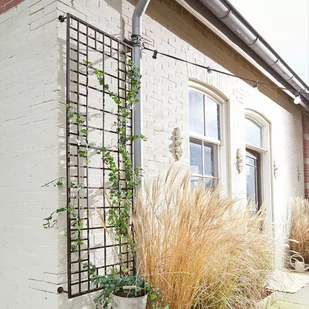 Treliaż Sulfolk - Kratki i pergole - miniaturka - grafika 1