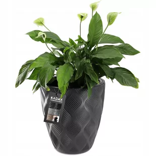 Doniczka na kwiaty z wkładem Jesi 30 cm, antracyt - Donice Doniczka na kwiaty z wkładem Jesi 30 cm, antracyt - Donice - miniaturka - grafika 1