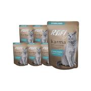 Mokra karma dla kotów - Dolina Noteci Rafi Cat Adult Sterilised mokra karma dla kota po sterylizacji z tuńczykiem saszetka waga 10x100 g - miniaturka - grafika 1