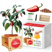 Nasiona i cebule - PAPRYKA CHILI JALAPENO - ZESTAW DO UPRAWY - miniaturka - grafika 1
