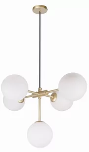 Candellux Lighting złoty żyrandol do salonu MATI 35-73778 lampa wisząca nad stół nowoczesna klosze białe 35-73778 - Lampy sufitowe - miniaturka - grafika 1