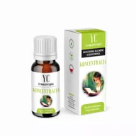 Aromaterapia - Your Candle Olejek eteryczny mix na koncentrację 10 ml - miniaturka - grafika 1