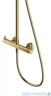 Omnires Y zestaw prysznicowy natynkowy mosiądz szczotkowany Y1244MBSB - Baterie umywalkowe - miniaturka - grafika 4