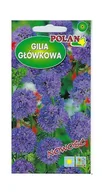 Nasiona i cebule - Gilia główkowa fioletowo-niebieska 0,5 g POLAN - miniaturka - grafika 1