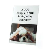 Ramki na zdjęcia - Eurofirany C/Print/RAM/06 Photo Frame, szkło, Colorful, 12 x 18 x 2 cm C/PRINT/RAM/06 - miniaturka - grafika 1