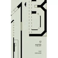 Książki o architekturze - Czarne 13 pięter - Filip Springer - miniaturka - grafika 1