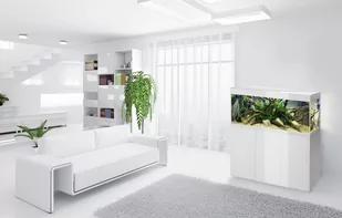 AQUAEL Szafka GLOSSY 80 biała - Oświetlenie akwarium - miniaturka - grafika 2