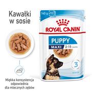 Mokra karma dla kotów - Royal Canin Maxi Puppy 10x140g 23370-uniw - miniaturka - grafika 1