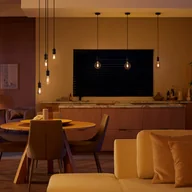Systemy inteligentnych domów - Philips Hue White E27 7W Globe Filament G125 550lm - miniaturka - grafika 1
