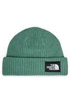 Czapki męskie - The North Face Czapka Salty Lined BeanieNF0A3FJWI0F1 Zielony - miniaturka - grafika 1