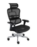 Fotele i krzesła biurowe - Fotel biurowy Ergohuman 2 Basic BS Black - miniaturka - grafika 1