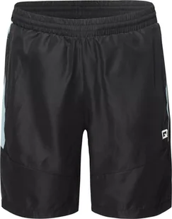 Męskie Spodenki DAREN - Spodnie sportowe męskie - miniaturka - grafika 1