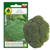 Nasiona i cebule - BROKUŁ SEBASTIAN WCZESNY KREMY NASIONA BEZ GMO - miniaturka - grafika 1