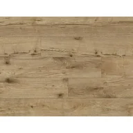 Panele podłogowe - Panel Expedition 4V Sacra Oak AC5 8 mm - miniaturka - grafika 1