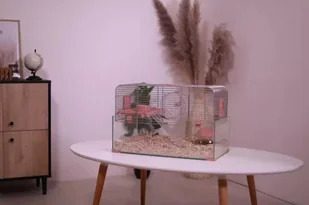 ZOLUX Klatka Panas Colour 80 kol. różowy - Klatki dla gryzoni - miniaturka - grafika 13