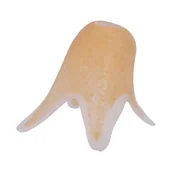 Dom i wnętrze OUTLET - Klosz w kształcie kielicha kwiatowego K-HP 02 MAT KLOSZ (｡◕‿◕｡) - miniaturka - grafika 1