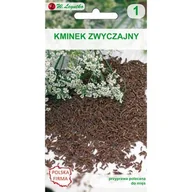 Nasiona i cebule - Kminek zwyczajny W.Legutko - miniaturka - grafika 1