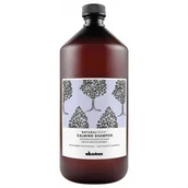 Kosmetyki kąpielowe dla dzieci - Davines Naturaltech Calming Szampon Łagodzący Do Wrażliwej Skóry Głowy 1000Ml - miniaturka - grafika 1