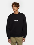 Bluzy męskie - felpa uomo dickies enterprise - dk0a4z4k blk1 black - miniaturka - grafika 1