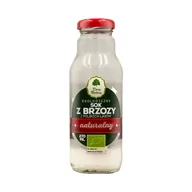 Soki i napoje niegazowane - DARY NATURY DARY NATURY SOK Z BRZOZY EKO 270ML - miniaturka - grafika 1