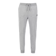 Spodnie sportowe męskie - Spodnie Alpha Industries Basic Jogger SL 11637017 - szare - miniaturka - grafika 1