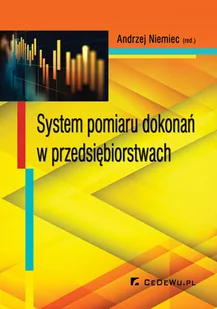 System pomiaru dokonań w przedsiębiorstwie - Zarządzanie - miniaturka - grafika 1