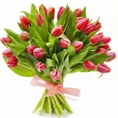 Kwiaty doniczkowe i cięte - Czarujące tulipany - miniaturka - grafika 1