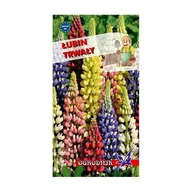 Nasiona i cebule - Łubin trwały mieszanka nasiona 2g / O / - miniaturka - grafika 1