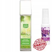 Zapachy do domu - Kala KALA Chanti Drzewo sandałowe 100ml perfumy dla domu AA033KLA - miniaturka - grafika 1