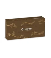 Apteczki i materiały opatrunkowe - Chusteczki kosmetyczne EcoNatural 100, 2 warstwy, 100 szt. Lucart Professional - miniaturka - grafika 1