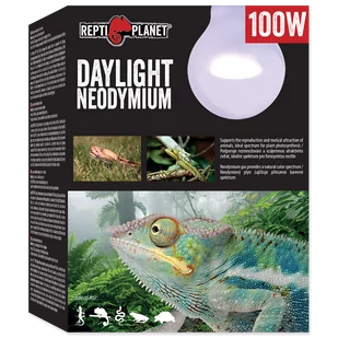 Repti Planet RP Żarówka Daylight Neodymium 100W - Akcesoria do terrarium - miniaturka - grafika 1