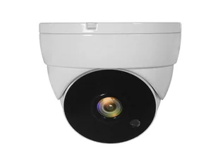 LevelOne ACS-5302 kamera przemysłowa Douszne Kamera bezpieczeństwa CCTV Wewnętrz i na wolnym powietrzu Sufit - Kamery do monitoringu - miniaturka - grafika 1