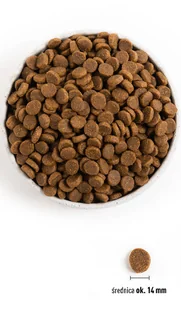 Acana Sport & Agility 11,4 kg - Sucha karma dla psów - miniaturka - grafika 5