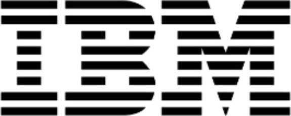 IBM Optical Wheel Mouse - 41U3030