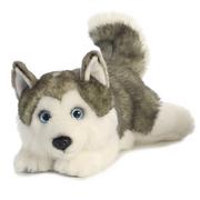 Maskotki i pluszaki - Aurora 26263, Leżący MiYoni Husky, 31 cm, miękka zabawka, szary 26263 - miniaturka - grafika 1