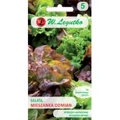 Nasiona i cebule - Legutko Sałata mieszanka odmian 5903837476992 - miniaturka - grafika 1