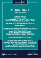 Prawo - Prawo pracy. Zbiór przepisów - miniaturka - grafika 1