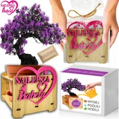 Nasiona i cebule - Prezent na DZIEŃ BABCI Drzewko Szczęścia Paulownia Cesarska Bonsai ZESTAW - miniaturka - grafika 1