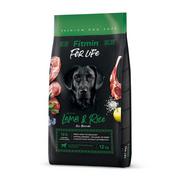 Sucha karma dla psów - FITMIN dog For Life Lamb & Rice 12 kg - miniaturka - grafika 1