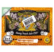 Nasiona i cebule - Nasiona konopi CBD Sweet Seeds - Honey Peach Auto CBD (fem.) 4 szt. - miniaturka - grafika 1