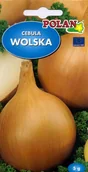 Nasiona i cebule - Cebula Wolska Nasiona 5g Polan - miniaturka - grafika 1