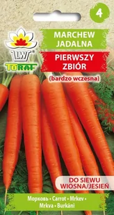 Toraf Marchew Pierwszy zbiór nasiona warzyw 5g 00148 - Nasiona i cebule - miniaturka - grafika 1