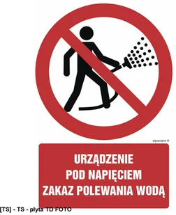 SIGNPROJECT GC085 - Zakaz noszenia rozpusczczonych włosów 300x450 - Tablice BHP - miniaturka - grafika 1