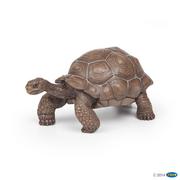 Figurki dla dzieci - Papo Żółw słoniowy (50161) - miniaturka - grafika 1