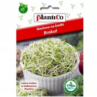 Nasiona i cebule - Plantico Nasiona na Kiełki brokuła - miniaturka - grafika 1