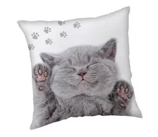 Jerry Fabrics Poduszka Kotek, 40 x 40 cm - Kołdry i poduszki dla dzieci - miniaturka - grafika 1